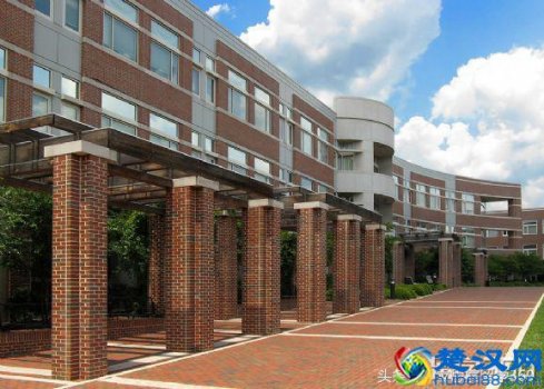  北卡罗莱纳州立大学美国排名第几（北卡罗莱纳州立大学院系设置介绍）