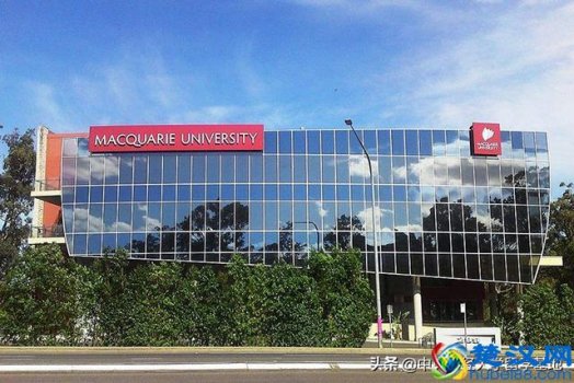  澳大利亚麦考瑞大学世界排名第几（澳大利亚麦考瑞大学有什么优势）