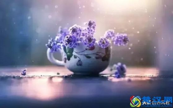  快乐是什么作文（快乐假日作文六百字）