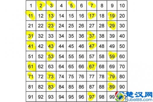  质数是什么意思数学（质数的规律）