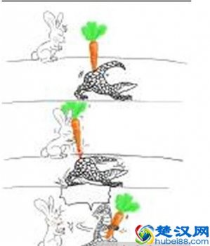  穿山甲到底说了什么（穿山甲说了什么梗）