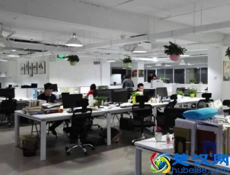 国外域名投资如何玩(域名投资3大原则,新手必看)