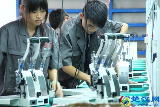 自己在家生产什么利润大(10个利润大的项目排行)