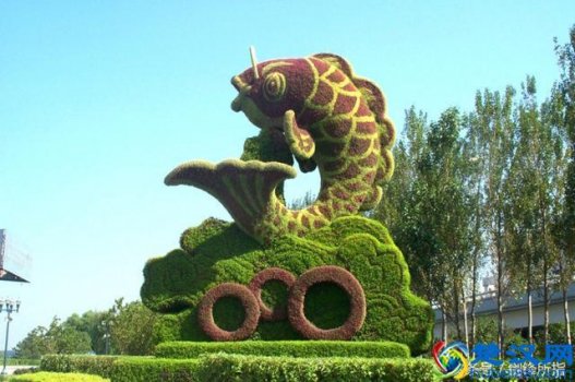  企业文化建设（企业文化建设成功案例）