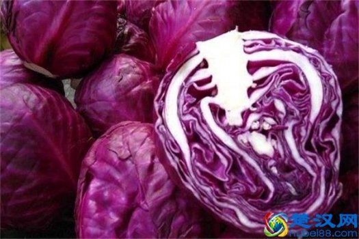  凉拌紫甘蓝（怎样凉拌紫甘蓝最好吃）