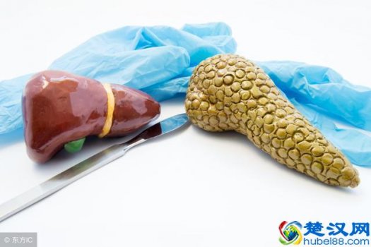  直接胆红素偏高的原因和危害有哪些！