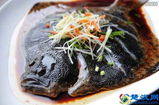  多宝鱼多少钱一斤，多宝鱼的营养价值！