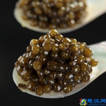  鱼子酱是什么鱼的卵？最好吃的鱼子酱竟然在俄国