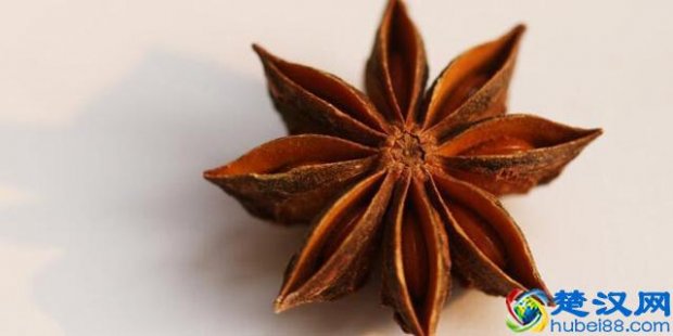  八角是什么调料？