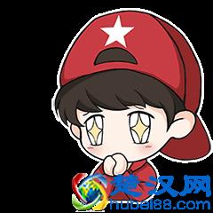  日本欧巴桑什么意思？