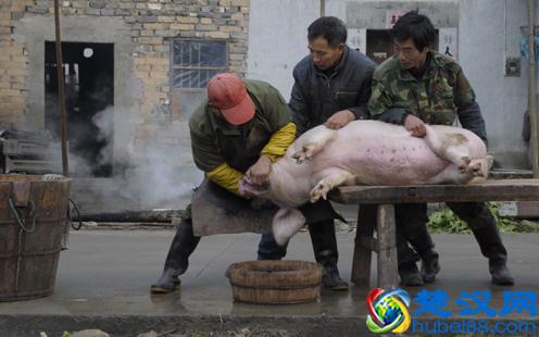  适合农村致富好项目？创业不错的8个选择