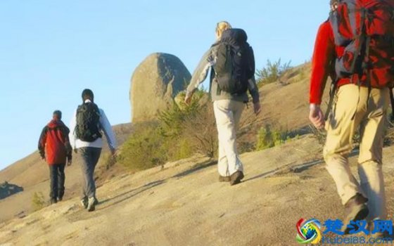  帐篷什么牌子好（主推几款经济实惠款式）