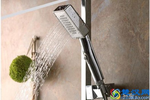  花洒什么牌子好（教你几招选购技巧）