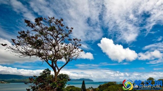  城府深是什么意思（怎么看一个人的城府）