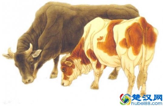  梦见怀孕是什么意思（周公解梦解析）