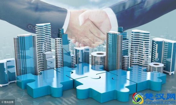  什么是子公司，什么是母公司！