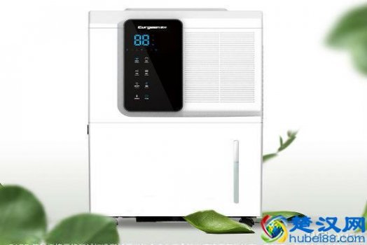  家用除湿机什么牌子好（除湿机的选购技巧你知道吗）