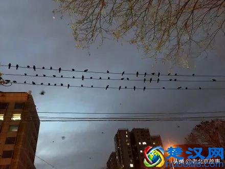  北京万寿路达内怎么样（达内有几个校区）