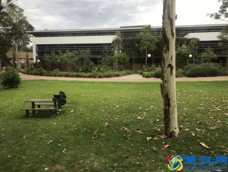  扬州大学什么时候开学（扬州大学广陵学院）