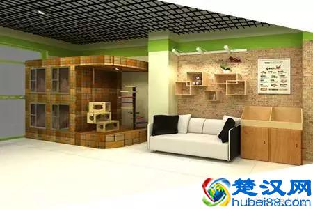  新手开宠物店要学什么技术（开宠物店一定要学的5点）