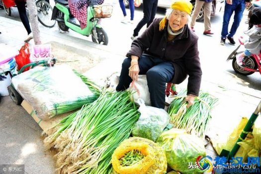  在蒙城县城做什么生意赚钱快（5个适合在乡镇做的小生意）