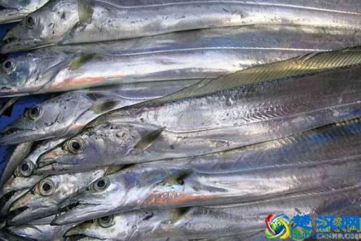  带鱼是深海鱼吗（可以人工养殖带鱼吗？）