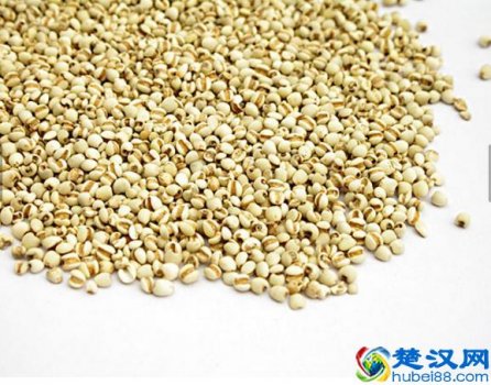  薏米的功效（薏米的多种功效）