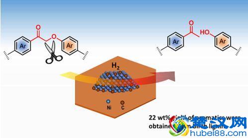  木质素磺酸钠（木质素催化转化研究获进展）