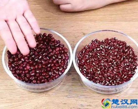  红豆与赤小豆的区别（红豆赤小豆）