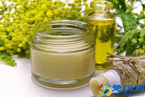  杜仲的功效（杜仲主治功效与作用）