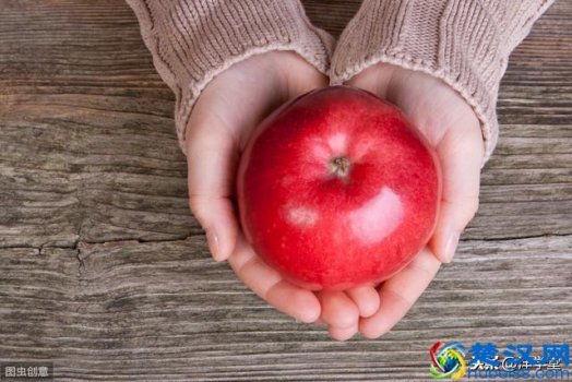  学前教育主要学什么（幼儿学前教育主要学什么）