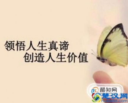  什么叫价值观（一个人的人生价值观是什么）