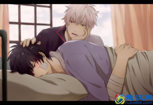  败犬腐女什么意思（腐女大波浪是什么梗）