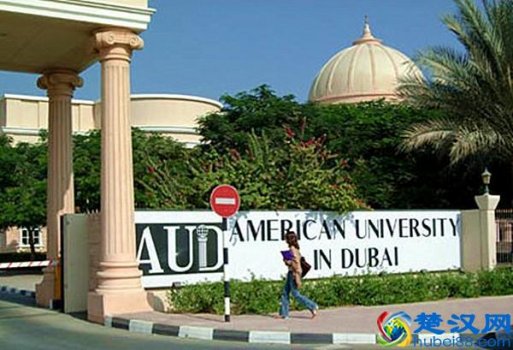  迪拜美国大学什么时候建立的（迪拜美国大学热门课程有哪些）
