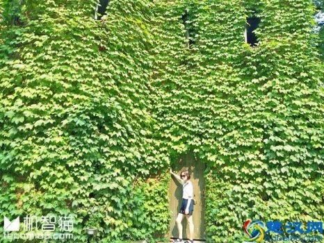  腾冲马蜂窝攻略怎么做（去日本全攻略，99%的人都花了冤枉钱）