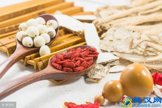  枸杞有什么作用与功效！