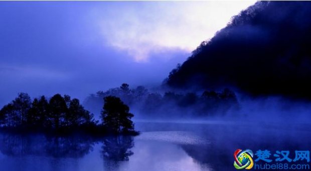  血糖仪什么牌子好。血糖仪品牌推荐！