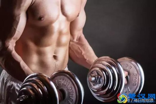  健身器材大全使用方法（专业教练教你最正确的方法）