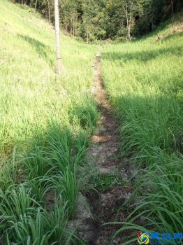 什么是有机农业技术?