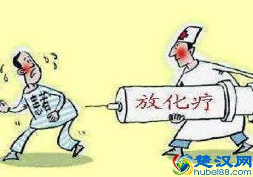 化疗白细胞低吃什么食物补得快(这些食物帮助你)