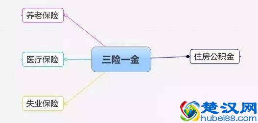  三险一金包括什么（三险一金和五险一金有什么区别）