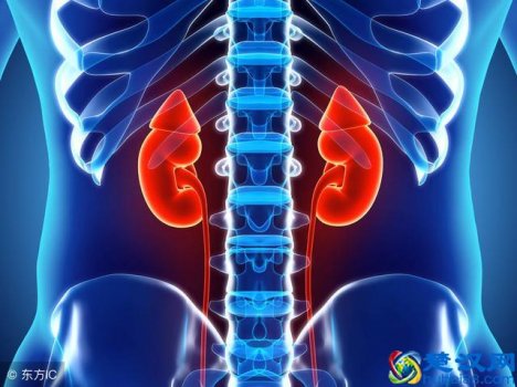  囊肿是什么原因引起的（囊肿的种类有哪些）