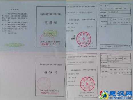  学校报到证有什么用途（什么是报到证）