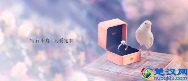  钻石小鸟是什么品牌（钻石小鸟属于什么档次）