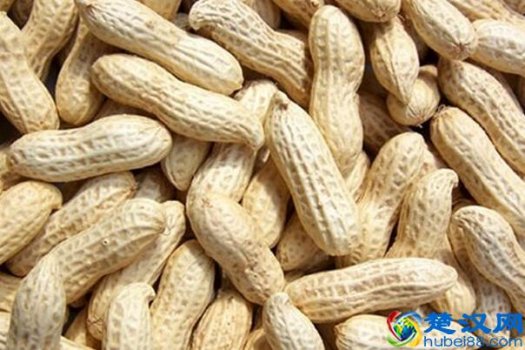  花生壳是什么成分（花生壳有什么营养价值吗）