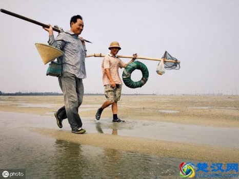  沙虫是什么东西（沙虫是什么样子的怎么吃）