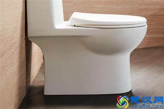  什么品牌的马桶好（家用马桶选购指南）