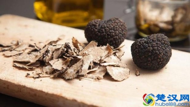  松露是什么东西怎么形成的（松露的功效与作用）