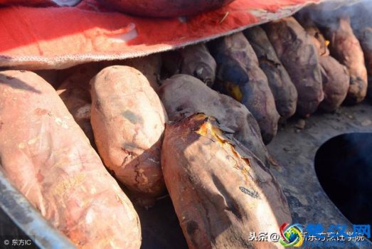  天冷了什么街头小吃最好吃（在家2分钟就能学会的5种街头小吃）