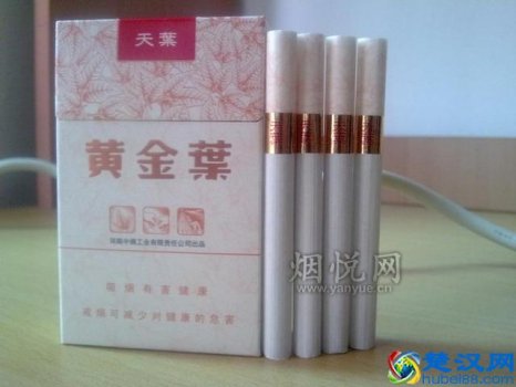  软壳南京95至尊多少钱一包（中国10大奢侈品香烟）